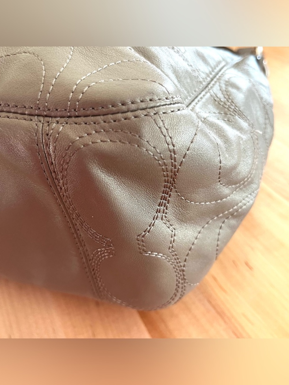 Coach Signature Taupy Metallic Leather Hobo Bag - Picture 7 of 11